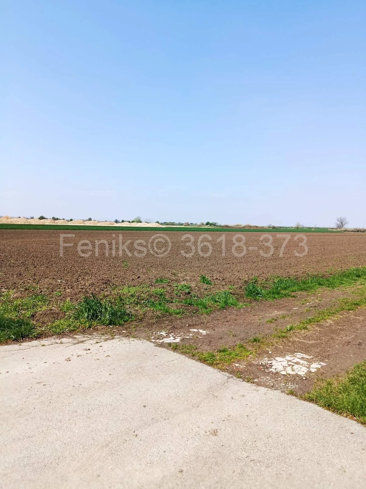 Nekretnina (Zemun (Beograd))