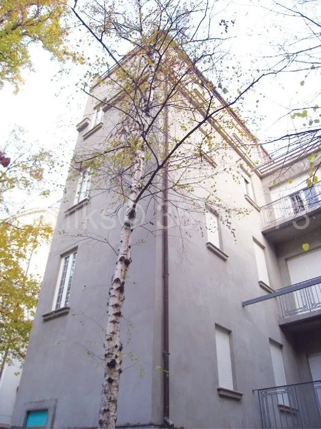 Nekretnina (Vračar (Beograd))