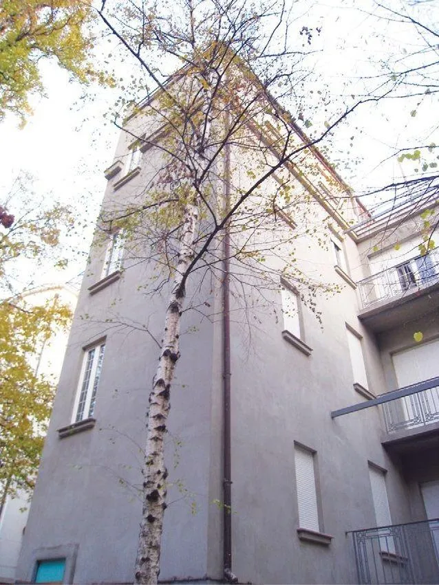 Nekretnina Krunska (Vračar)