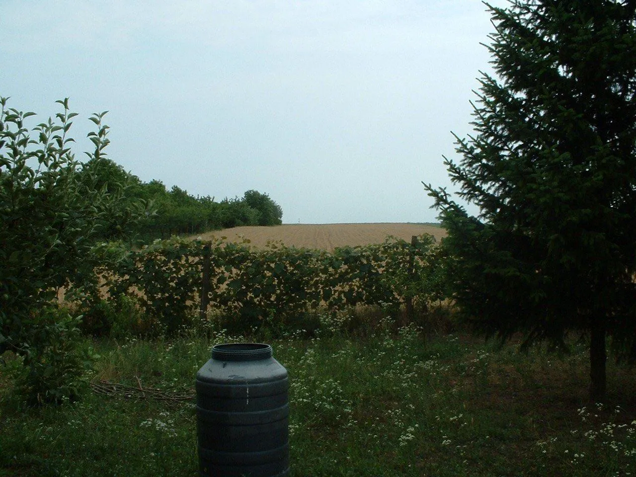 Nekretnina Radiofar (Zemun)