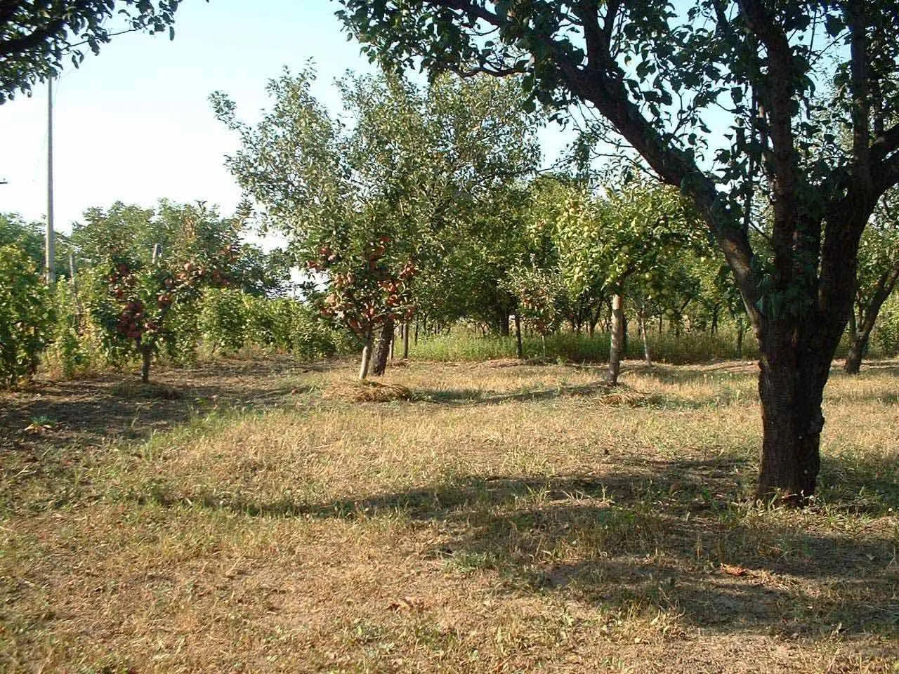 Nekretnina Radiofar (Zemun)