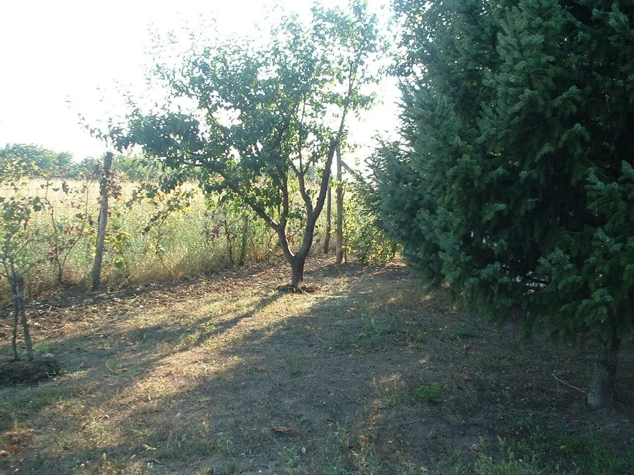 Nekretnina Radiofar (Zemun)