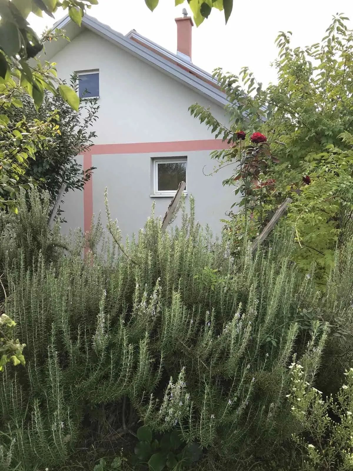Nekretnina Surčin (Surčin)