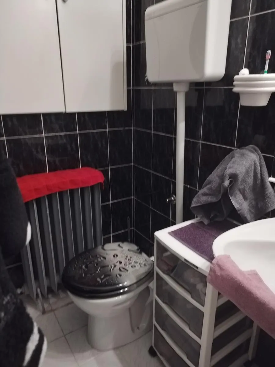 Nekretnina Pravni fakultet (Vračar)