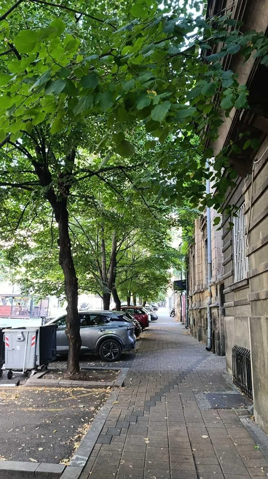 Nekretnina Klinički centar (Savski Venac)