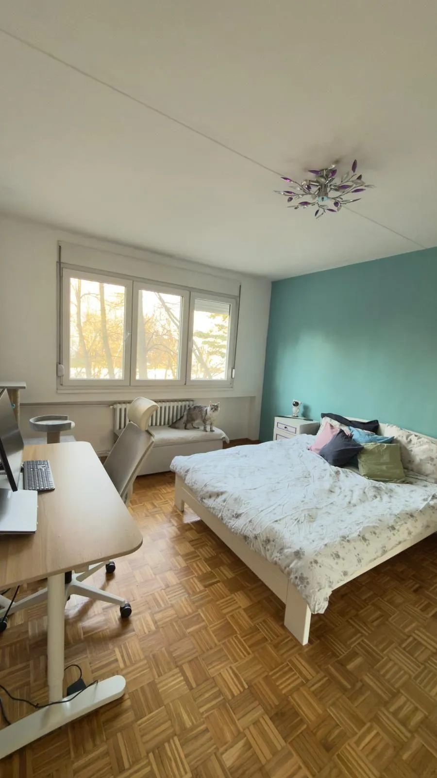 Nekretnina Blok 45 (Novi Beograd)