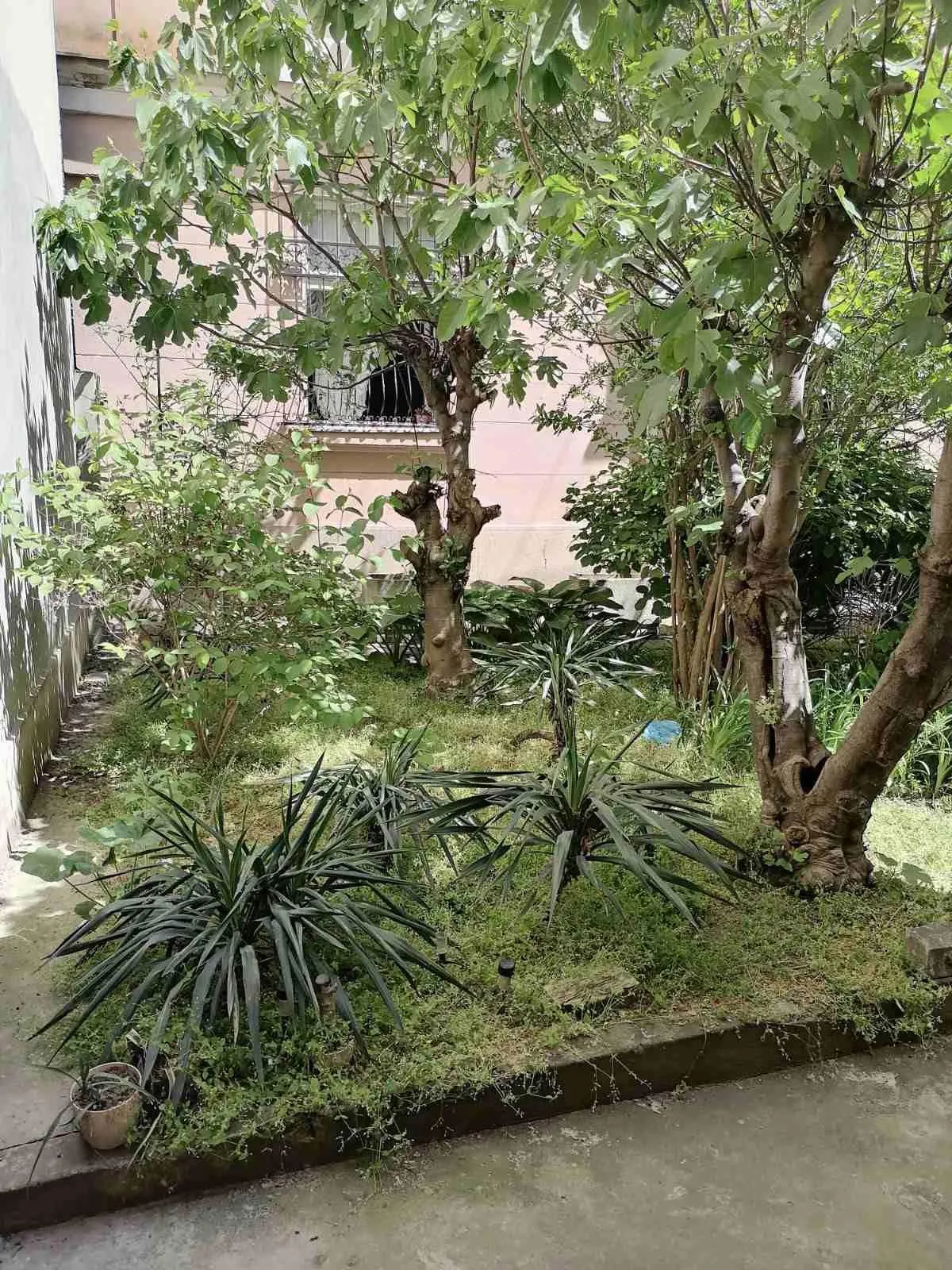 Nekretnina Politika (Stari Grad)