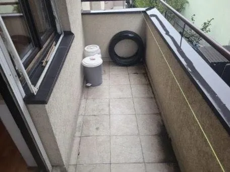 Nekretnina Petlovo brdo (Rakovica)