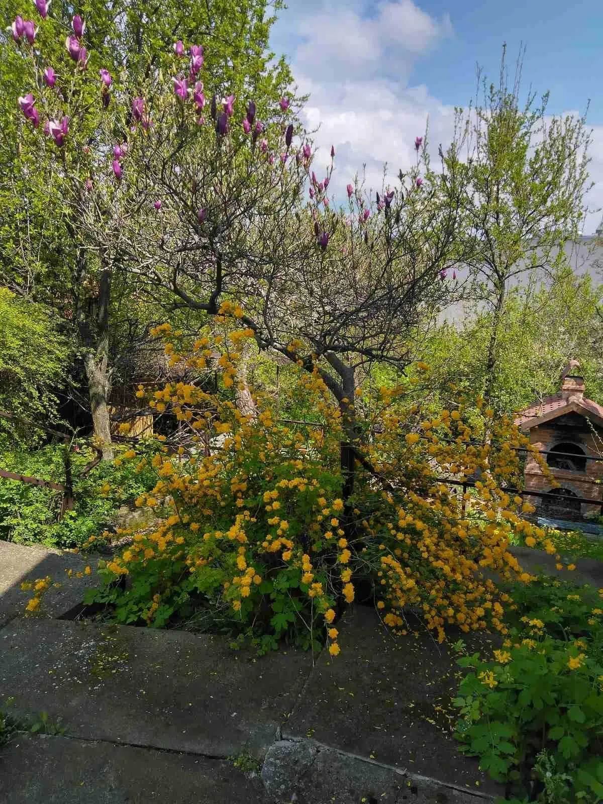 Nekretnina Karaburma (Palilula)