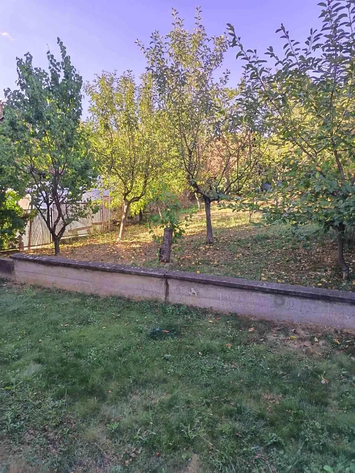 Nekretnina Jajinci (Voždovac)